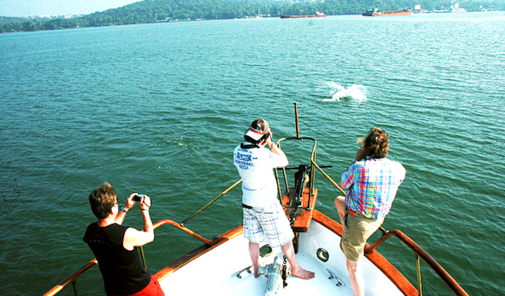 solita-goa-yacht-5